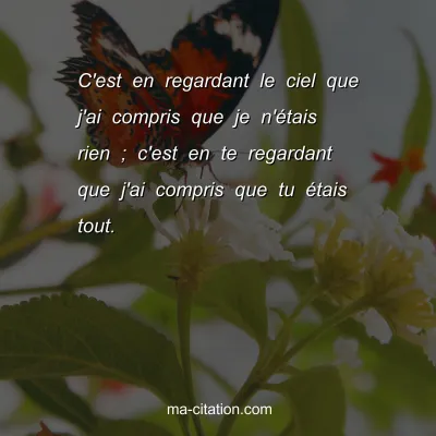 C'est en regardant le ciel que j'ai compris que je n'Ã©tais rien ; c'est en te regardant que j'ai compris que tu Ã©tais tout.