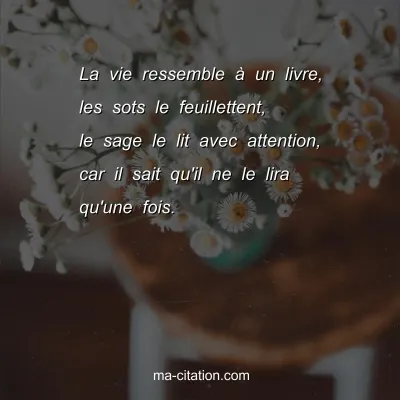 La vie ressemble Ã  un livre, les sots le feuillettent, le sage le lit avec attention, car il sait qu'il ne le lira qu'une fois.