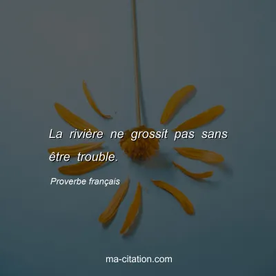 Proverbe franÃ§ais : La riviÃ¨re ne grossit pas sans Ãªtre trouble.
