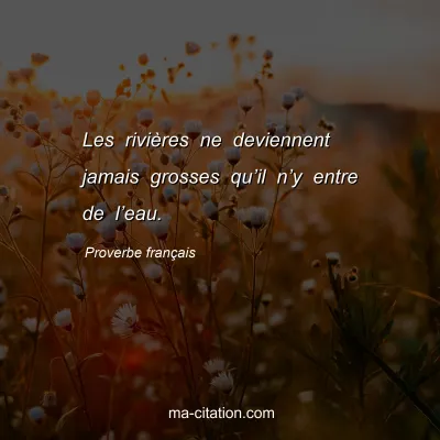 Proverbe franÃ§ais : Les riviÃ¨res ne deviennent jamais grosses quâ€™il nâ€™y entre de lâ€™eau.