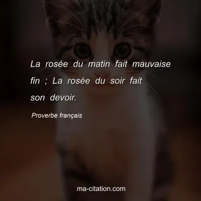 Proverbe franÃ§ais : La rosÃ©e du matin fait mauvaise fin ; La rosÃ©e du soir fait son devoir.