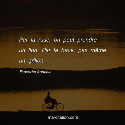 Proverbe franÃ§ais : Par la ruse, on peut prendre un lion. Par la force, pas mÃªme un grillon.