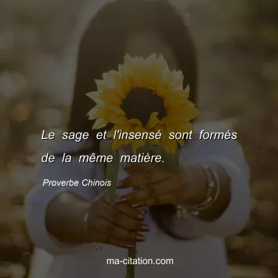 Proverbe Chinois : Le sage et l'insensÃ© sont formÃ©s de la mÃªme matiÃ¨re.
