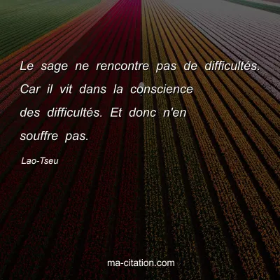 Lao-Tseu : Le sage ne rencontre pas de difficultÃ©s. Car il vit dans la conscience des difficultÃ©s. Et donc n'en souffre pas.