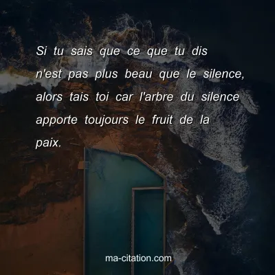 Si tu sais que ce que tu dis n'est pas plus beau que le silence, alors tais toi car l'arbre du silence apporte toujours le fruit de la paix.