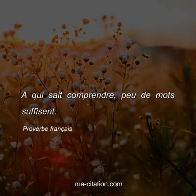 Proverbe franÃ§ais : A qui sait comprendre, peu de mots suffisent.