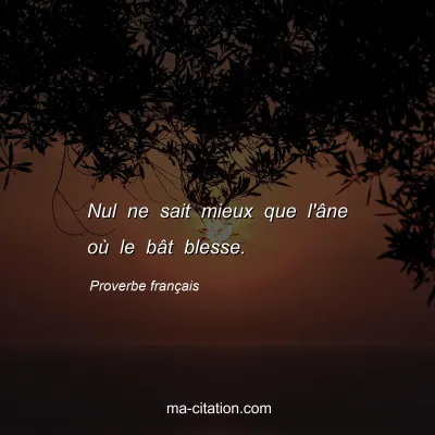 Proverbe franÃ§ais : Nul ne sait mieux que l'Ã¢ne oÃ¹ le bÃ¢t blesse.