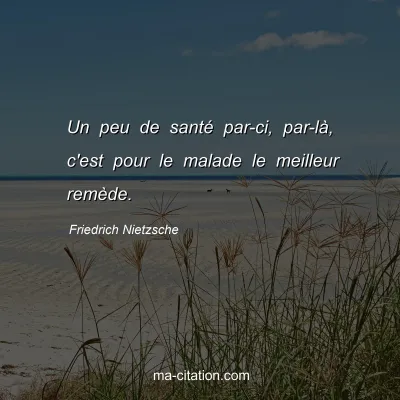 Friedrich Nietzsche : Un peu de santÃ© par-ci, par-lÃ , c'est pour le malade le meilleur remÃ¨de.