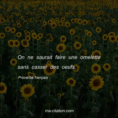 Proverbe franÃ§ais : On ne saurait faire une omelette sans casser des oeufs.