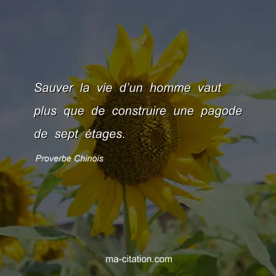 Proverbe Chinois : Sauver la vie dâ€™un homme vaut plus que de construire une pagode de sept Ã©tages.