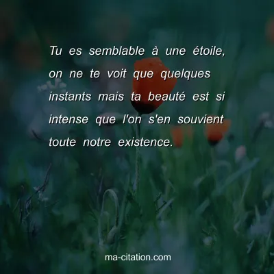 Tu es semblable Ã  une Ã©toile, on ne te voit que quelques instants mais ta beautÃ© est si intense que l'on s'en souvient toute notre existence.