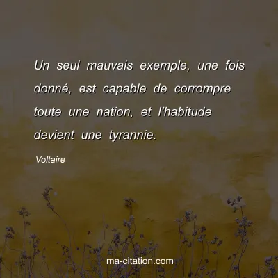 Voltaire : Un seul mauvais exemple, une fois donné, est capable de corrompre toute une nation, et l’habitude devient une tyrannie.