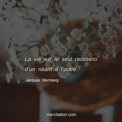 Jacques Sternberg : La vie est le seul raccourci dâ€™un nÃ©ant Ã  lâ€™autre.