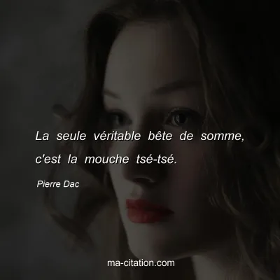 Pierre Dac : La seule vÃ©ritable bÃªte de somme, c'est la mouche tsÃ©-tsÃ©.