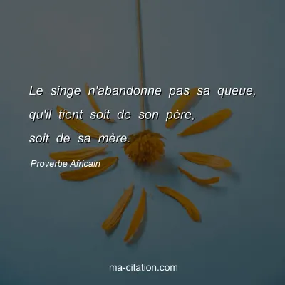 Proverbe Africain : Le singe n'abandonne pas sa queue, qu'il tient soit de son pÃ¨re, soit de sa mÃ¨re.