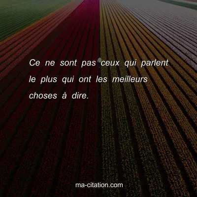 Ce ne sont pas ceux qui parlent le plus qui ont les meilleurs choses Ã  dire.