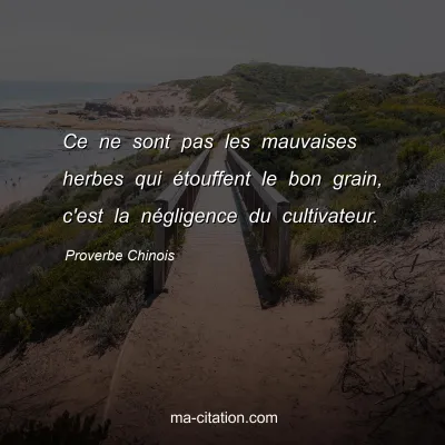 Proverbe Chinois : Ce ne sont pas les mauvaises herbes qui Ã©touffent le bon grain, c'est la nÃ©gligence du cultivateur.