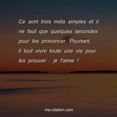 Ce sont trois mots simples et il ne faut que quelques secondes pour les prononcer. Pourtant, il tout vivre toute une vie pour les prouver : je t'aime !