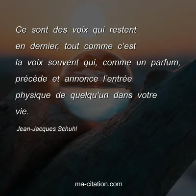Jean-Jacques Schuhl : Ce sont des voix qui restent en dernier, tout comme c’est la voix souvent qui, comme un parfum, précède et annonce l’entrée physique de quelqu’un dans votre vie.