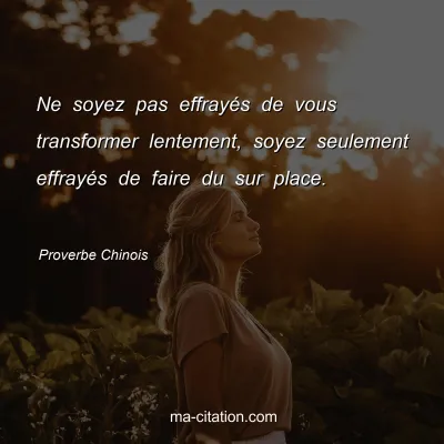 Proverbe Chinois : Ne soyez pas effrayÃ©s de vous transformer lentement, soyez seulement effrayÃ©s de faire du sur place. 