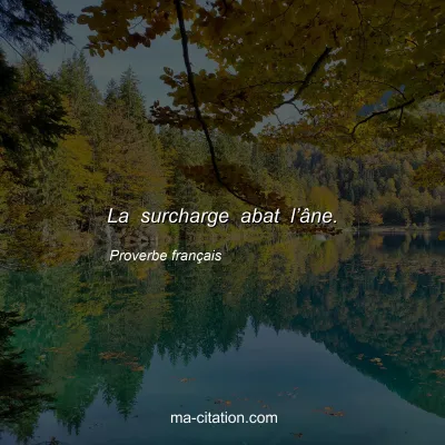 Proverbe franÃ§ais : La surcharge abat lâ€™Ã¢ne.