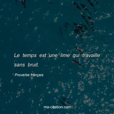 Proverbe franÃ§ais : Le temps est une lime qui travaille sans bruit.