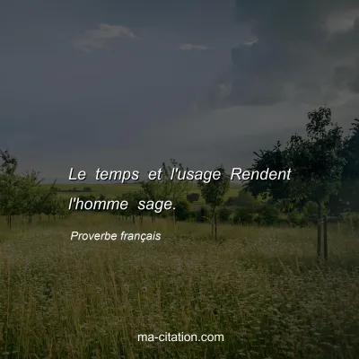 Proverbe franÃ§ais : Le temps et l'usage Rendent l'homme sage.