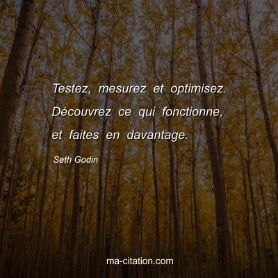 Seth Godin : Testez, mesurez et optimisez. Découvrez ce qui fonctionne, et faites en davantage.