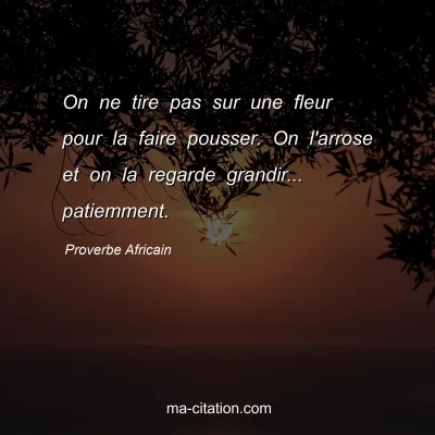 Proverbe Africain : On ne tire pas sur une fleur pour la faire pousser. On l'arrose et on la regarde grandir... patiemment.