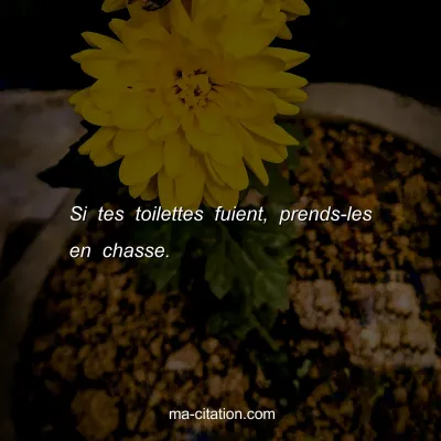 Si tes toilettes fuient, prends-les en chasse.