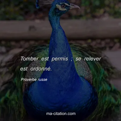 Proverbe russe                  
                
 : Tomber est permis ; se relever est ordonné.