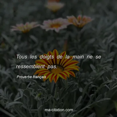Proverbe franÃ§ais : Tous les doigts de la main ne se ressemblent pas.