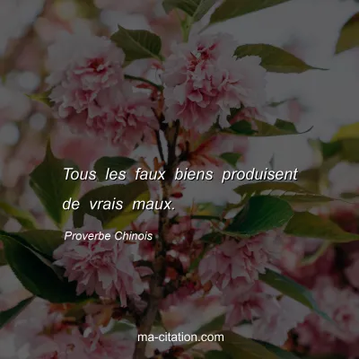 Proverbe Chinois : Tous les faux biens produisent de vrais maux.