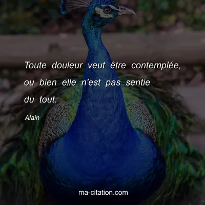 Alain : Toute douleur veut Ãªtre contemplÃ©e, ou bien elle n'est pas sentie du tout.