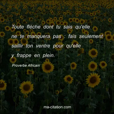 Proverbe Africain : Toute flÃ¨che dont tu sais qu'elle ne te manquera pas : fais seulement saillir ton ventre pour qu'elle y frappe en plein.