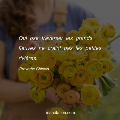 Proverbe Chinois : Qui ose traverser les grands fleuves ne craint pas les petites riviÃ¨res.