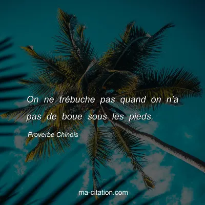 Proverbe Chinois : On ne trÃ©buche pas quand on nâ€™a pas de boue sous les pieds.