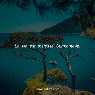 La vie est tristesse Surmonte-la.