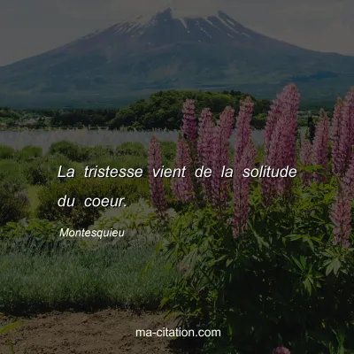 Montesquieu : La tristesse vient de la solitude du coeur.