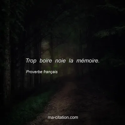 Proverbe franÃ§ais : Trop boire noie la mÃ©moire.
