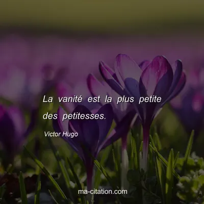 Victor Hugo : La vanité est la plus petite des petitesses.
