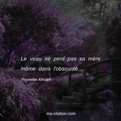 Proverbe Africain : Le veau ne perd pas sa mÃ¨re mÃªme dans l'obscuritÃ©.