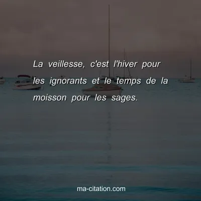 La veillesse, c'est l'hiver pour les ignorants et le temps de la moisson pour les sages.