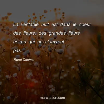 RenÃ© Daumal : La vÃ©ritable nuit est dans le coeur des fleurs, des grandes fleurs noires qui ne sâ€™ouvrent pas.