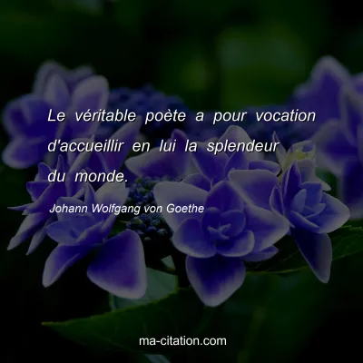 Johann Wolfgang von Goethe : Le vÃ©ritable poÃ¨te a pour vocation d'accueillir en lui la splendeur du monde.