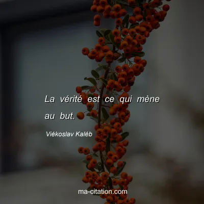 ViÃ©koslav KalÃ©b : La vÃ©ritÃ© est ce qui mÃ¨ne au but.