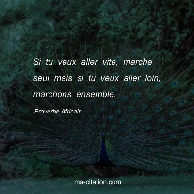 Proverbe Africain : Si tu veux aller vite, marche seul mais si tu veux aller loin, marchons ensemble.