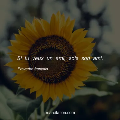 Proverbe franÃ§ais : Si tu veux un ami, sois son ami.