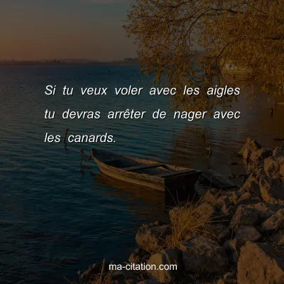 Si tu veux voler avec les aigles tu devras arrÃªter de nager avec les canards.