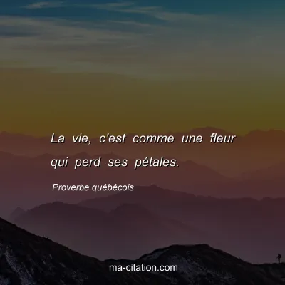 Proverbe quÃ©bÃ©cois : La vie, câ€™est comme une fleur qui perd ses pÃ©tales.